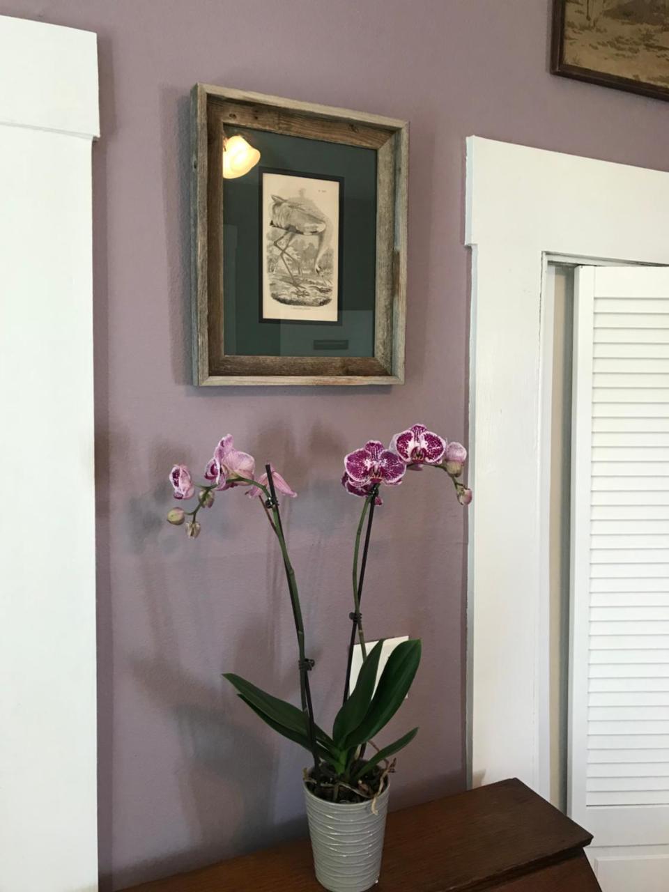 Whooping Crane Manor B & B Rockport Εξωτερικό φωτογραφία